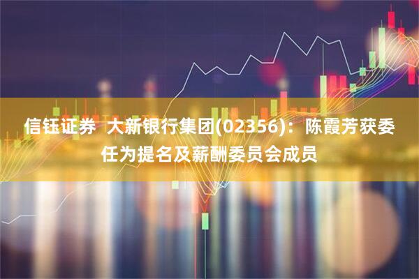 信钰证券  大新银行集团(02356)：陈霞芳获委任为提名及薪酬委员会成员