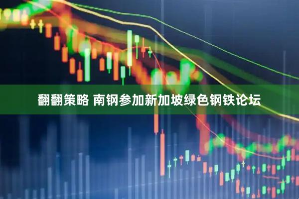 翻翻策略 南钢参加新加坡绿色钢铁论坛