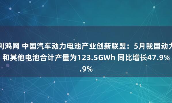 利鸿网 中国汽车动力电池产业创新联盟：5月我国动力和其他电池合计产量为123.5GWh 同比增长47.9%