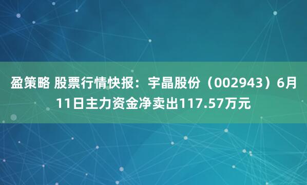 盈策略 股票行情快报：宇晶股份（002943）6月11日主力资金净卖出117.57万元