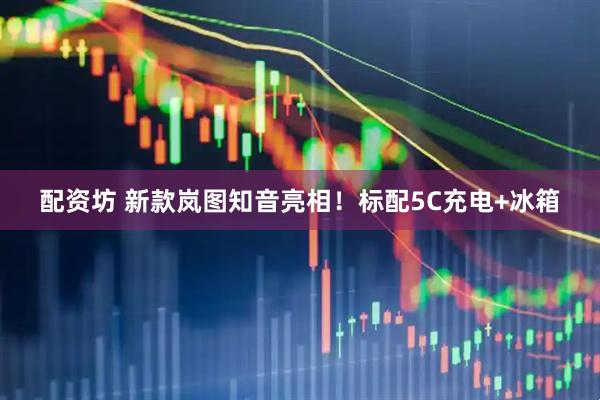 配资坊 新款岚图知音亮相！标配5C充电+冰箱