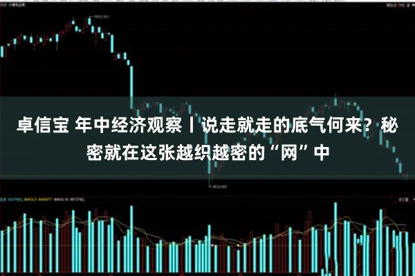 卓信宝 年中经济观察丨说走就走的底气何来？秘密就在这张越织越密的“网”中