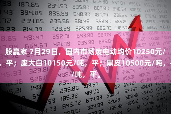 股赢家 7月29日，国内市场废电动均价10250元/吨，平；废大白10150元/吨，平；黑皮10500元/吨，平。