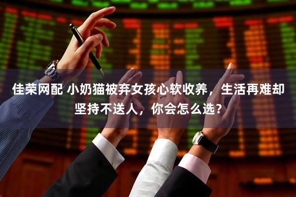 佳荣网配 小奶猫被弃女孩心软收养，生活再难却坚持不送人，你会怎么选？