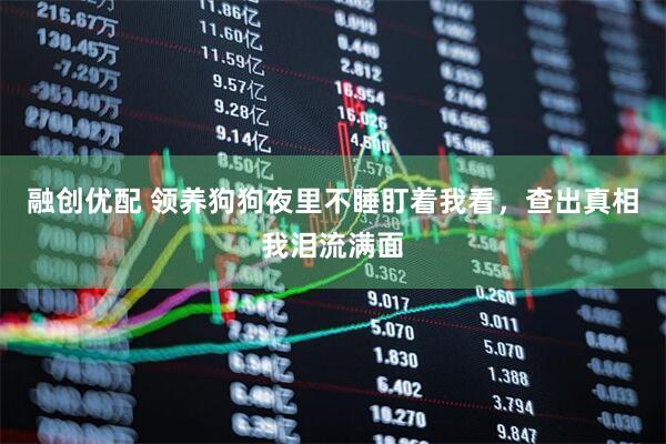 融创优配 领养狗狗夜里不睡盯着我看，查出真相我泪流满面