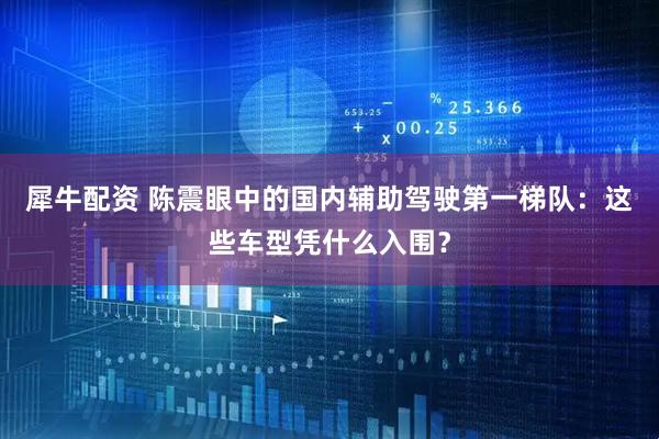 犀牛配资 陈震眼中的国内辅助驾驶第一梯队：这些车型凭什么入围？