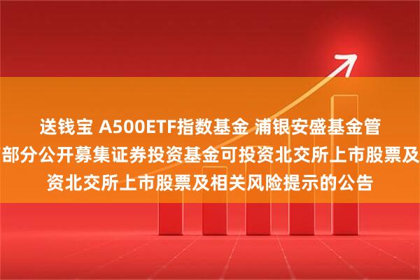 送钱宝 A500ETF指数基金 浦银安盛基金管理有限公司关于旗下部分公开募集证券投资基金可投资北交所上市股票及相关风险提示的公告